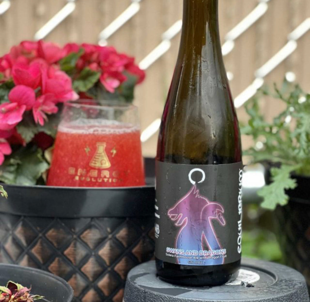 Equilibrium Brewery Swans and Dragons 375ml